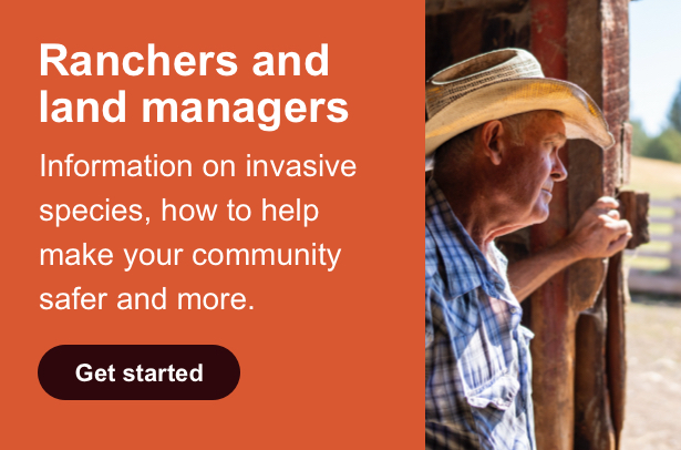 Ranchers and Land Managers Information on invasive species, how to help make your community safer and more Get Started