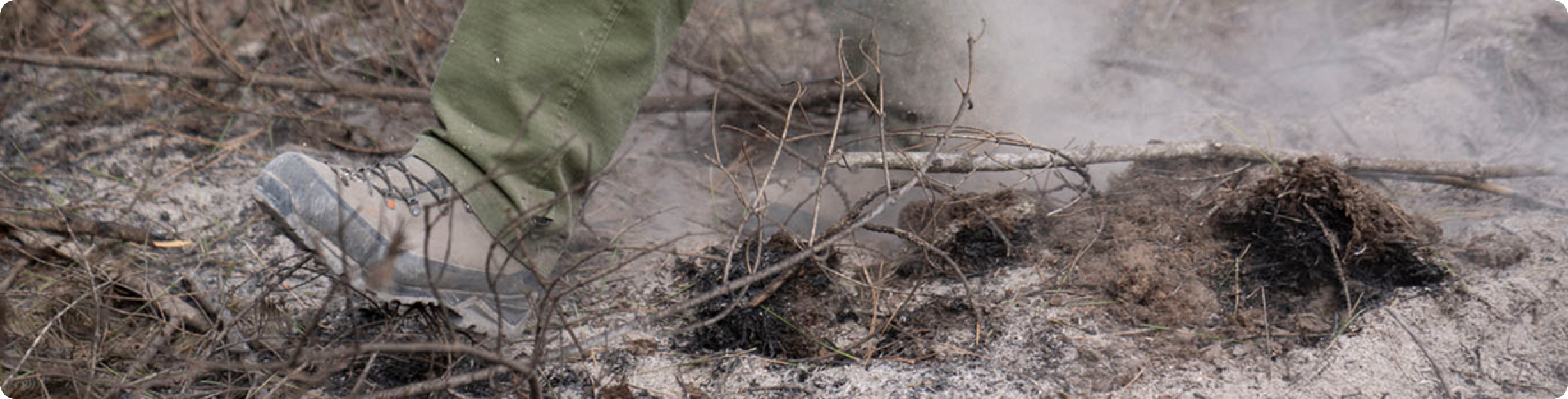 shoes walking through dusty brush