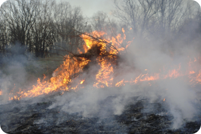 brush burning wild fire