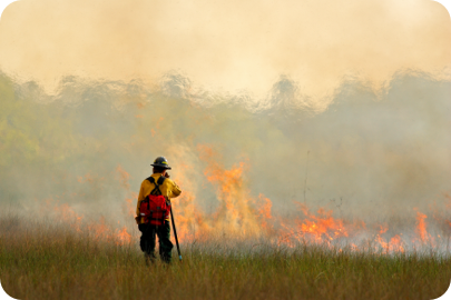 wildfire firefighter