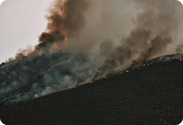 wildfire smoke