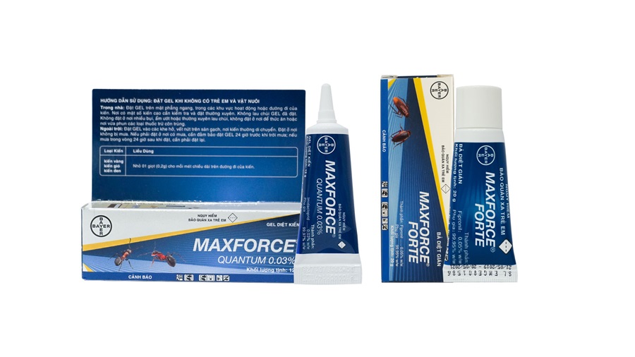 Maxforce Quantum 0.03%  diệt Kiến, Maxforce Forte diệt Gián hiệu quả