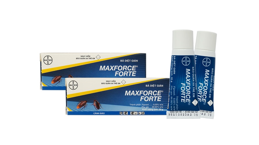 Sử dụng Bả diệt gián Maxforce Forte để diệt gián hiệu quả bảo vệ gia đình bạn từ những mối nguy về gián