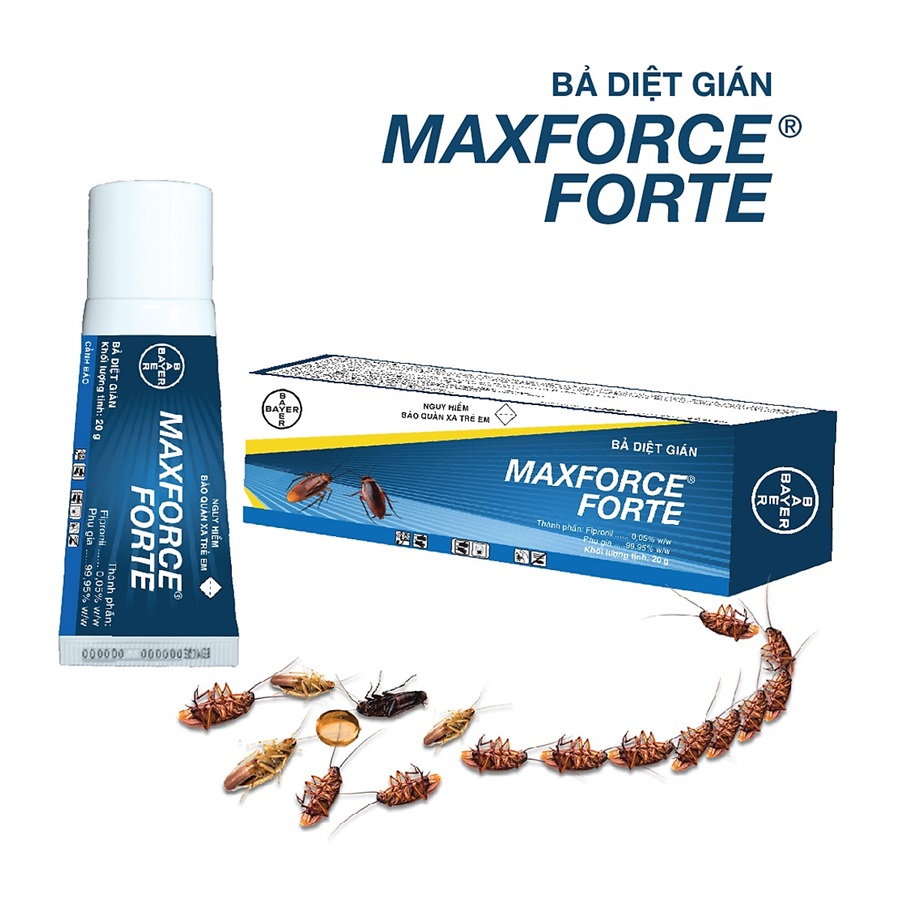 Che pham diet gian Maxfore Forte