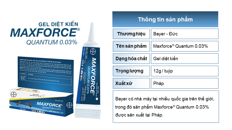 Gel diet kien Maxforce Quantum 