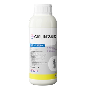 Cislin website