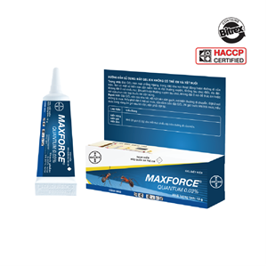 Maxforce Quantum - Gel diệt kiến hiệu quả vượt trội