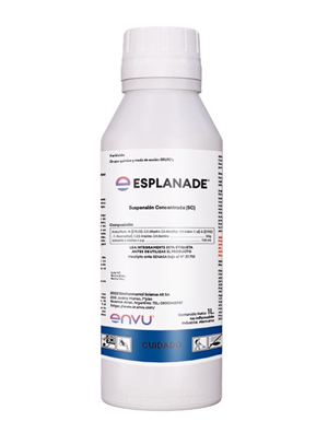 Esplanade AR