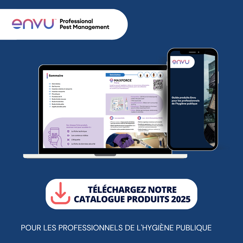 new cataloge france